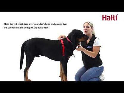 Επιστήθιο-Σαμαράκι σκύλου HALTI FRONT CONTROL HARNESS