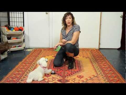 Κουδούνι εκπαίδευσης σκύλου Ferribiella