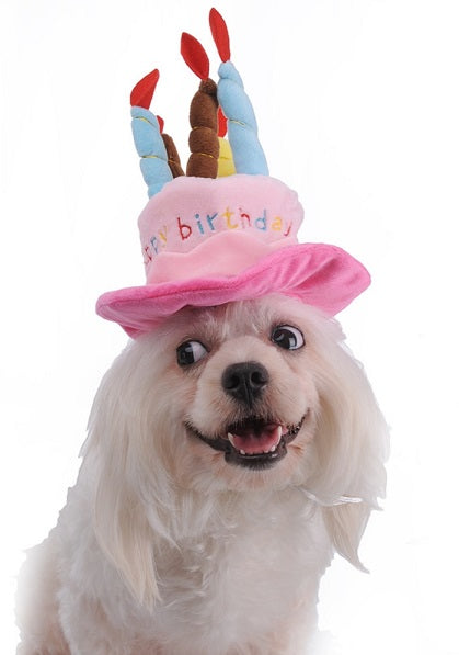 Kαπελάκι Γενεθλίων σκύλου γάτας CAKE (πολλά χρώματα)