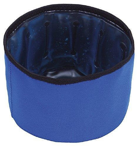 Μπολ δροσιάς σκύλου γάτας ταξιδίου Fresh Bowl (300ml)