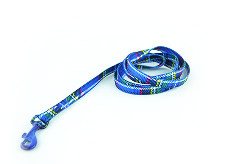 Οδηγός σκύλου Καρό