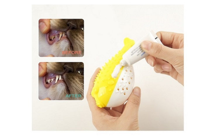 Οδοντικό παιχνίδι γάτας Cat Toothbrush