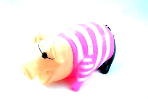 Παιχνίδι σκύλου Pirate Pig