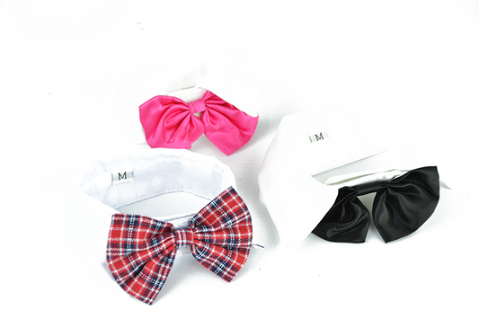 Παπιγιόν σκύλου-γάτας 16553