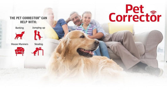 Pet Corrector εκπαιδευτικό σπρευ σκύλου