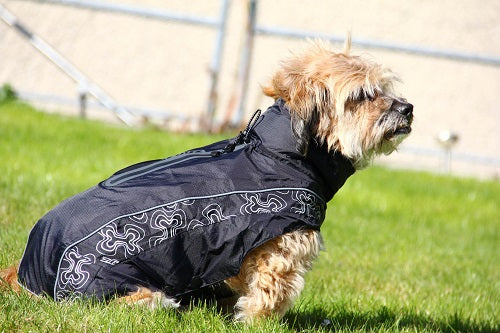 Ρούχο σκύλου αδιάβροχο RAINY DAY