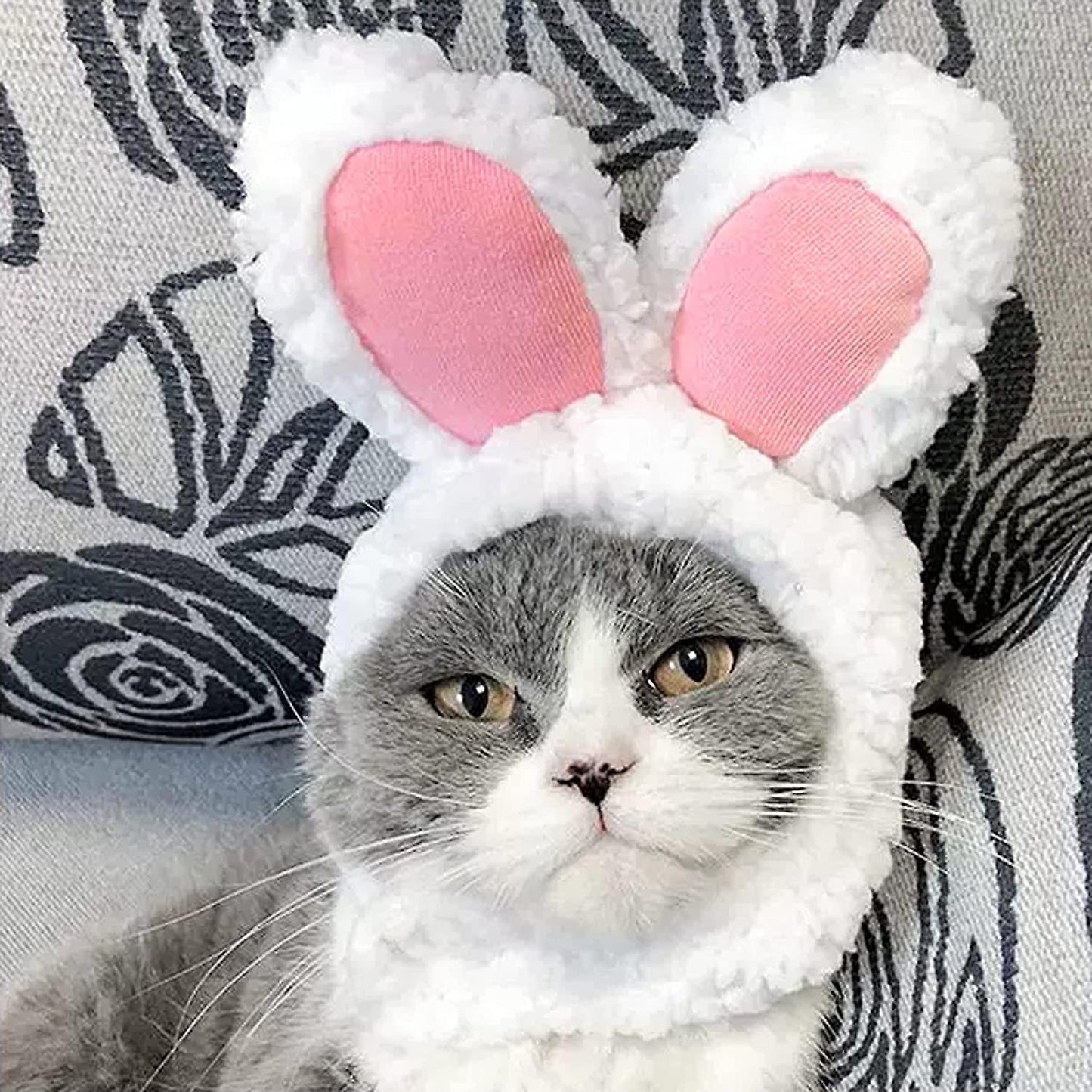 Σκούφος γάτας-μικρού σκύλου BUNNY EARS