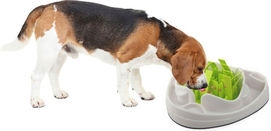 Μπολ ταχυφαγίας σκύλου Slow Feeder AFP