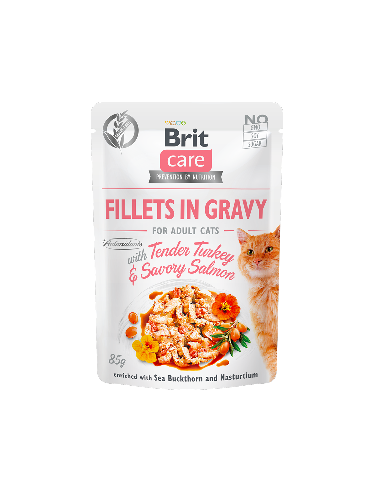 Κονσέρβα για γάτες BRIT CARE FILLETS IN GRAVY (85gr)(πολλές γεύσεις)