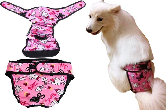 Βρακάκι σκύλου VALOR BIG