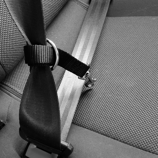 Ζώνη Ασφαλείας σκύλου για αυτοκίνητο MPets (Small)