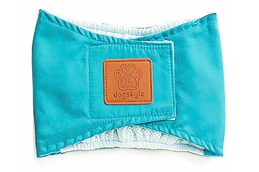 Ζώνη Mαρκαρίσματος για αρσενικούς σκύλους Πετρόλ Dogstyle