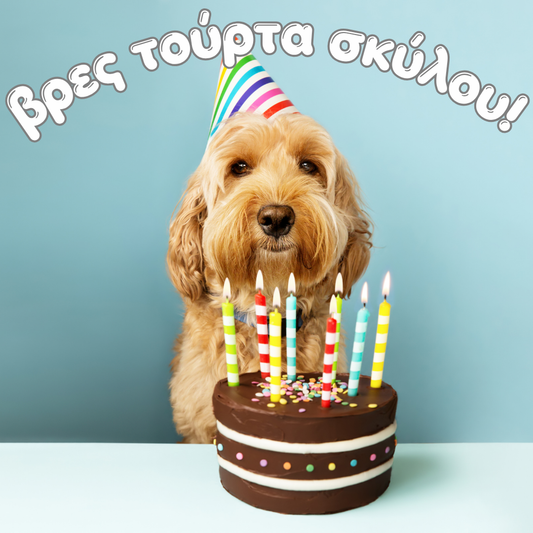 Τούρτα Σκύλου: Πώς να Γιορτάσεις τα Γενέθλια του Τετράποδου Φίλου σου με Ασφάλεια