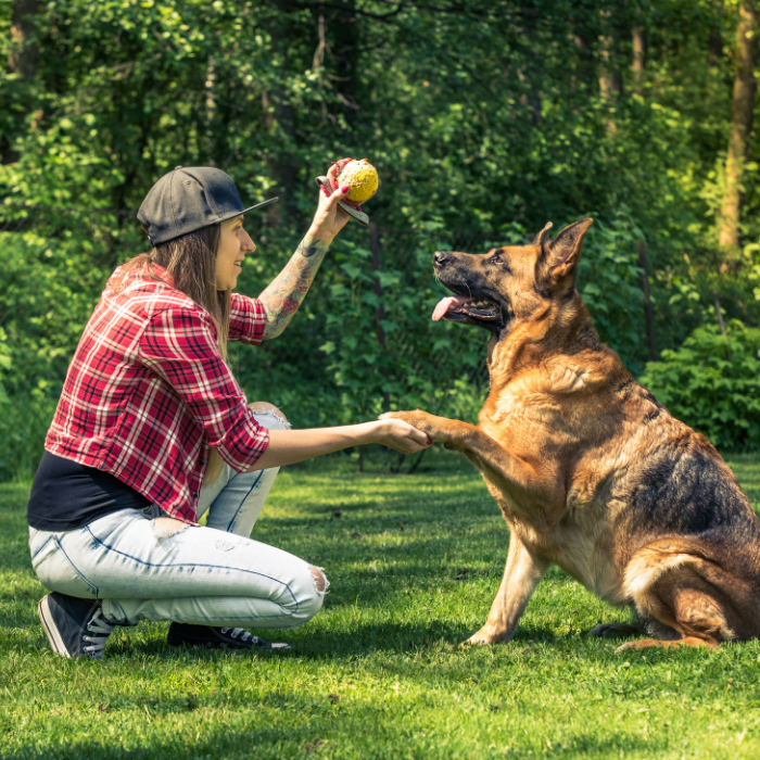 γυναίκα μαθαίνει κόλπα με μπάλα σε σκύλο