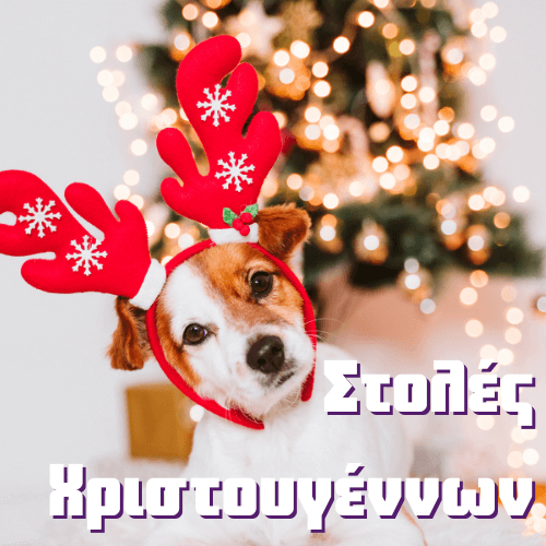 Χριστουγεννιάτικα Ρούχα σκύλου-γάτας