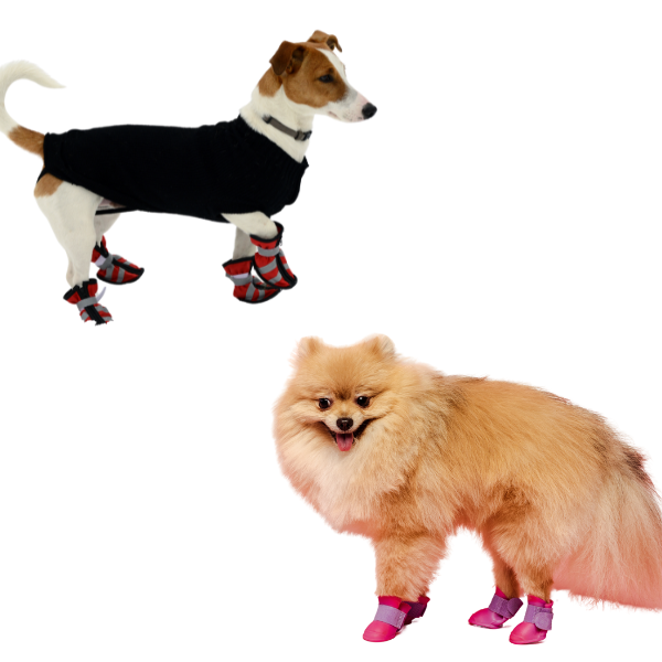 Παπούτσια και Κάλτσες για Σκύλους