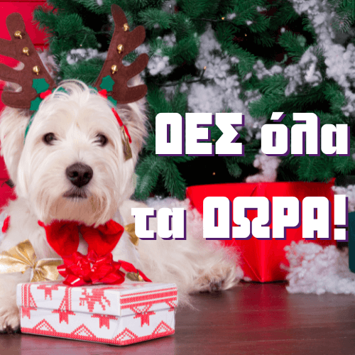 Χριστουγεννιάτικα Είδη για Σκύλους και Γάτες
