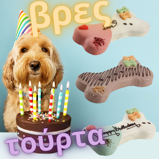 Τούρτα-μπισκότο σκύλου Lolopets (Large)