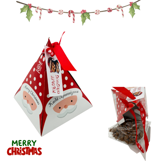 Λιχουδιά γάτας Χριστουγεννιάτικη Magic BOX