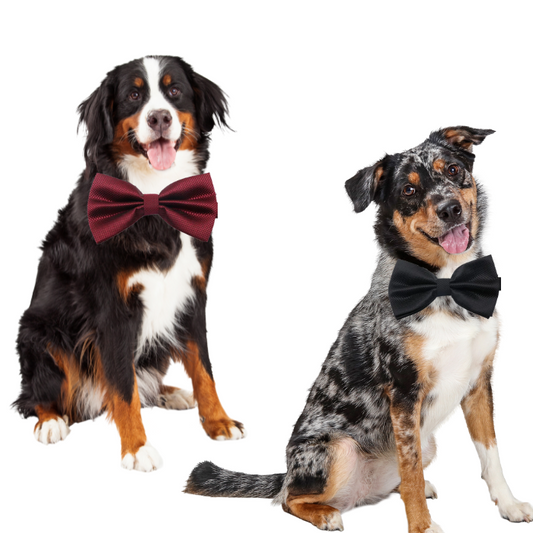 Παπιγιόν σκύλου LOVELY BOW