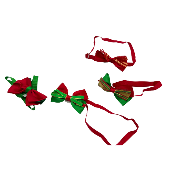 Χριστουγεννιάτικο Παπιγιόν σκύλου Xmas SPIRIT