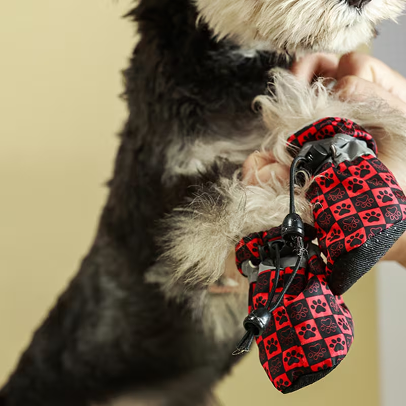 Παπούτσια σκύλου με λάστιχο Paw Printed Boots