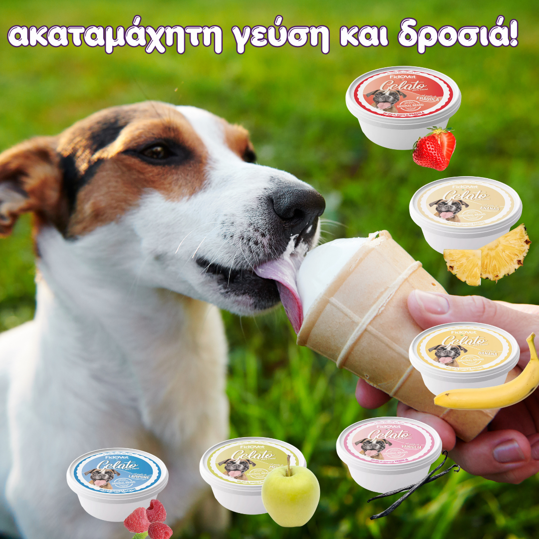 Παγωτό για σκύλους FidoVet GELATO (40gr)