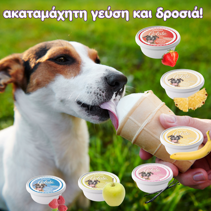 Παγωτό για σκύλους FidoVet GELATO (40gr)