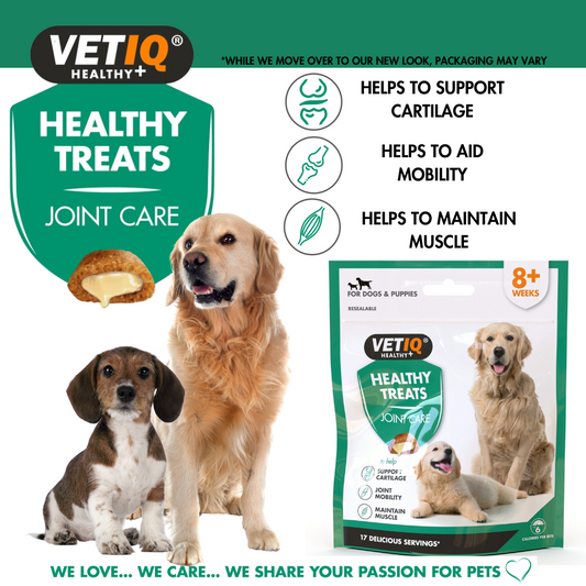Λιχουδιά VET IQ Healthy Treats JOINT CARE (70gr)