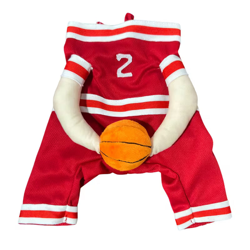 Αποκριάτικη στολή σκύλου Basketball