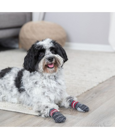 Αντιολισθητικές κάλτσες σκύλου TRIXIE Comfy