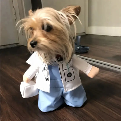 Αποκριάτικη στολή σκύλου-γάτας Γιατρός