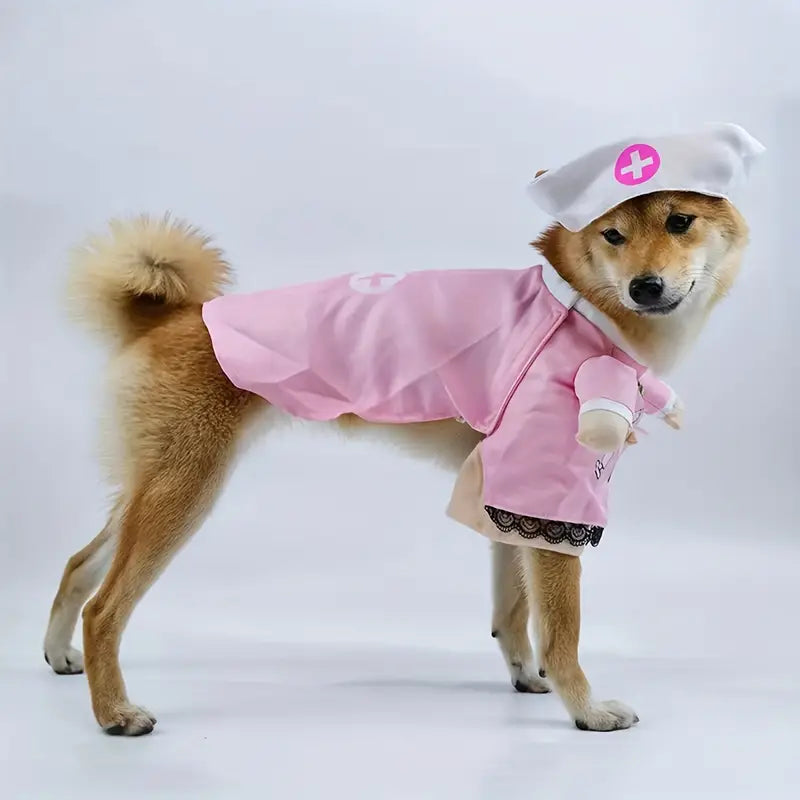 Αποκριάτικη στολή σκύλου-γάτας Νοσοκόμα
