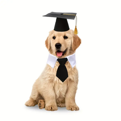 ΣΕΤ αποφοίτησης σκύλου γάτας Graduate