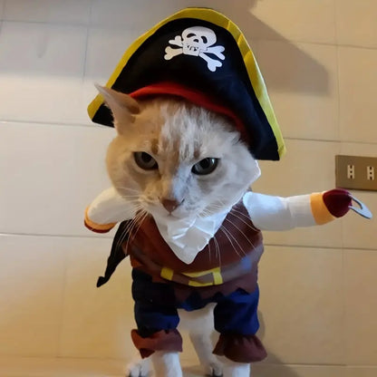 Αποκριάτικη στολή σκύλου-γάτας Pirate