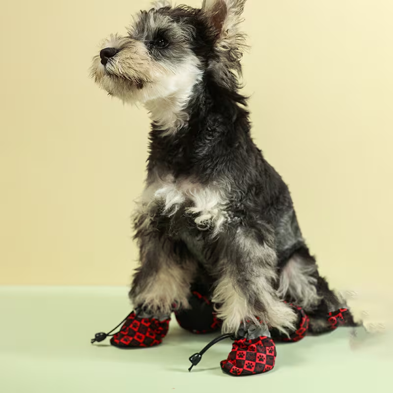 Παπούτσια σκύλου με λάστιχο Paw Printed Boots