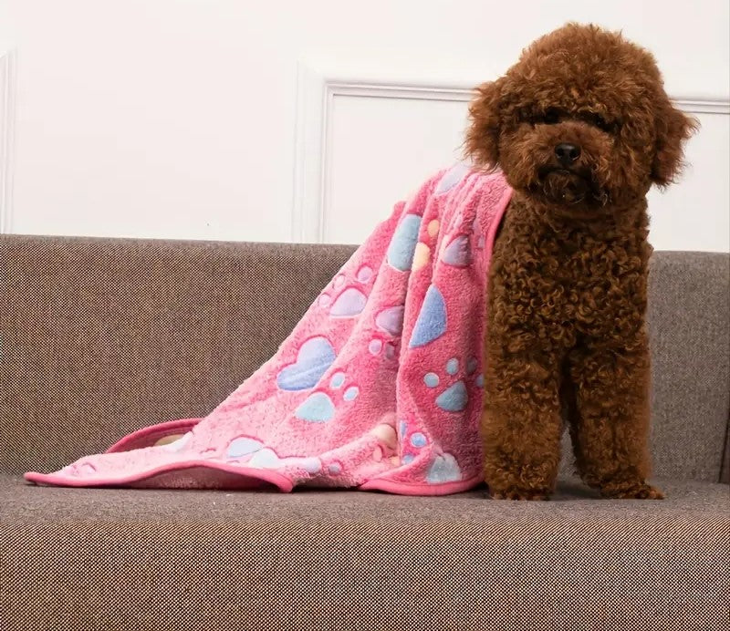 Κουβέρτα σκύλου-γάτας Paw RULE