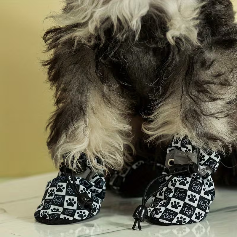 Παπούτσια σκύλου με λάστιχο Paw Printed Boots
