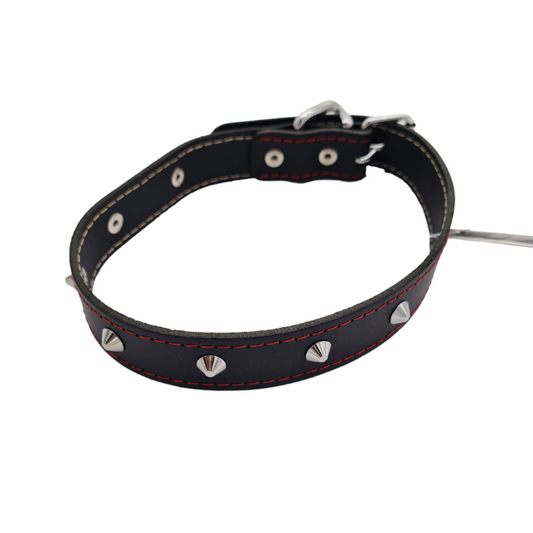 Δερμάτινο περιλαίμιο σκύλου SPIKY COLOR