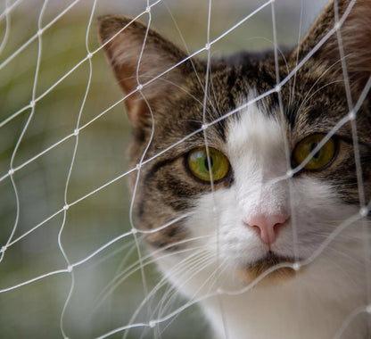 Δίχτυ ασφαλείας για γάτες Pawise διάφανο