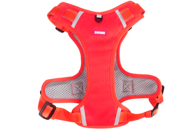 Επιστήθιο σκύλου Safe Grip