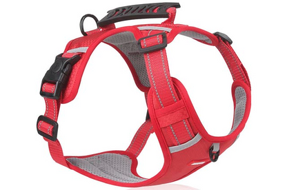 Επιστήθιο σκύλου Safe Grip