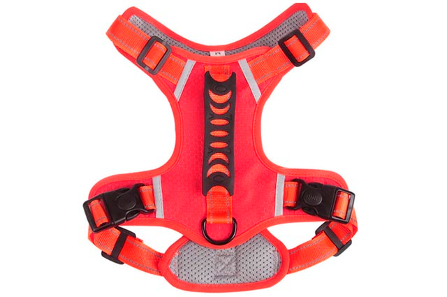 Επιστήθιο σκύλου Safe Grip