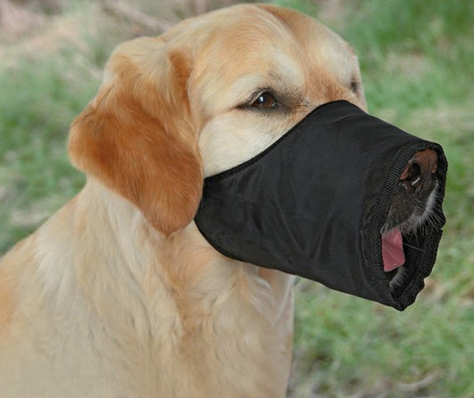 Φίμωτρο Nylon Fag Genova (no.0)