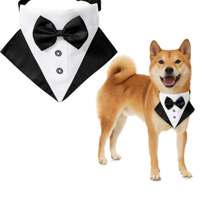 Μπαντάνα σκύλου Γιακάς σμόκιν