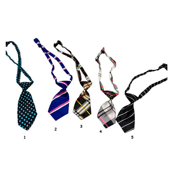 Γραβάτα σκύλου-γάτας PLAY ALONG