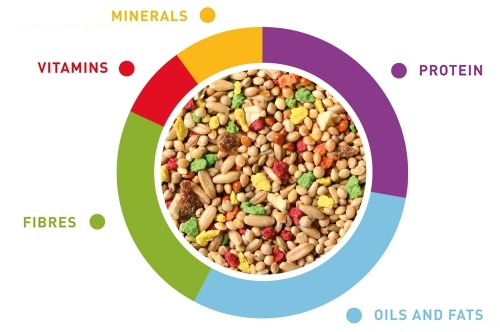 Τροφή για παπαγαλάκια GrandMix Cocorite (1kg)