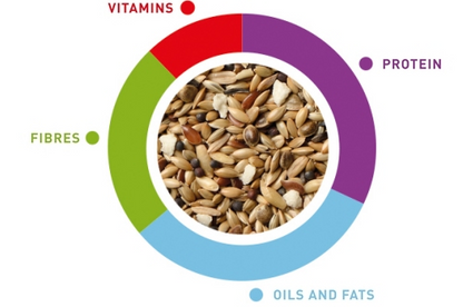 Τροφή για καναρίνια Sunmix Canarini (850gr)