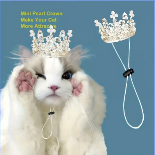 Kαπελάκι σκύλου γάτας Royal Crown