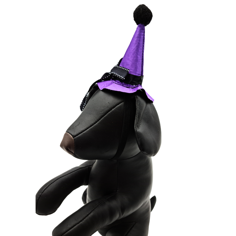 Καπέλο σκύλου Purple Witch